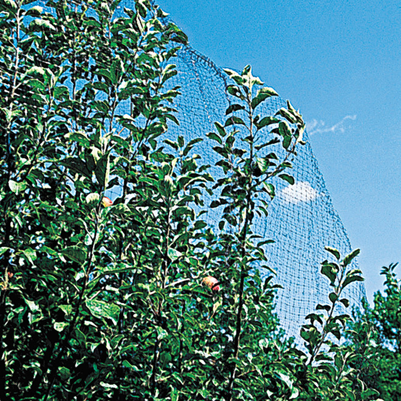 Garden Netting | Henry Field's Seed & Nursery Co.